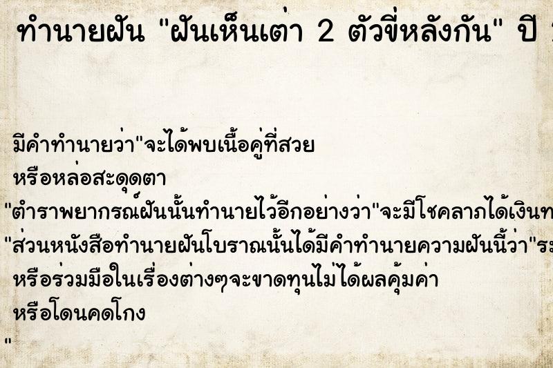 ทำนายฝัน ฝันเห็นเต่า 2 ตัวขี่หลังกัน